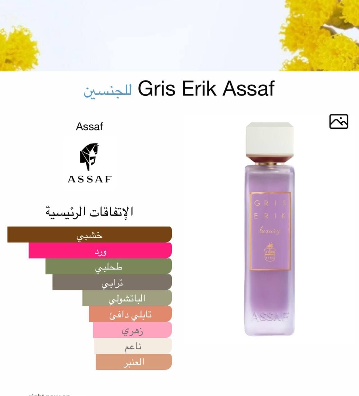 ASSAF GRIS ERIK 200 ML